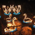 2. Refurbishing The Swans 7 Swans a Swimming - 12 Days of Christmas at Angarrack Christmas Lights